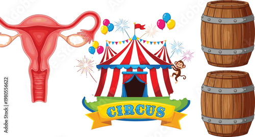 Female reproductive system anatomy circus tent with fireworks balloons and wooden barrels cartoon vector illustration collection