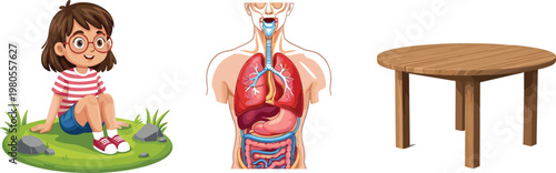 Girl sitting on grass human anatomy internal organs diagram and wooden table furniture cartoon vector illustration collection