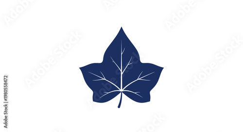 Obraz na plátne Deep Blue Ivy Leaf Silhouette on White Background