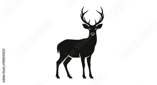 Majestic Stag Silhouette Vector Illustration of a Deer with Large Antlers Standing on White Background