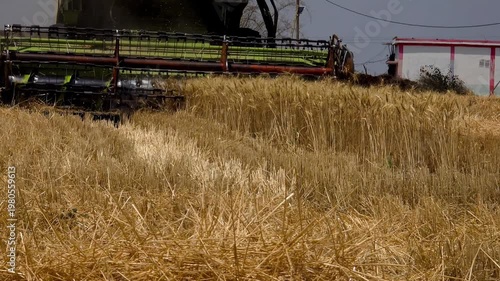 Combine Harvester Cutting Wheat Crop in Field – Agricultural Harvest Footage