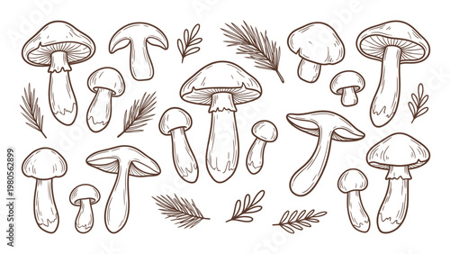 Matsutake mushrooms with pine needles hand drawn outline illustration set