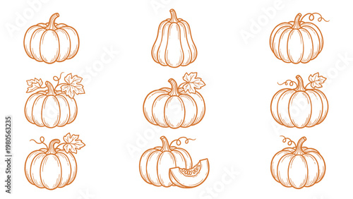 Valokuva Hand drawn pumpkin collection with slice line art autumn set
