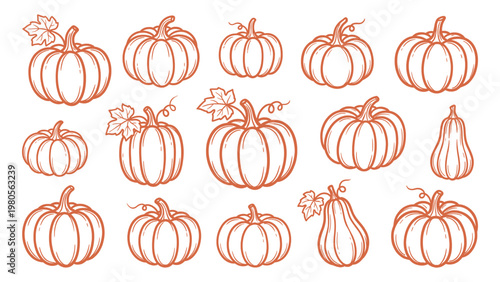Hand drawn pumpkin set line art autumn harvest illustrations