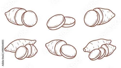 Sliced Yam Vector Set Hand Drawn Yam Pieces and Tubers Illustration