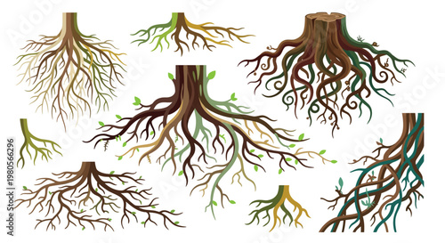 Various tree roots and stumps illustrated in a detailed colorful design