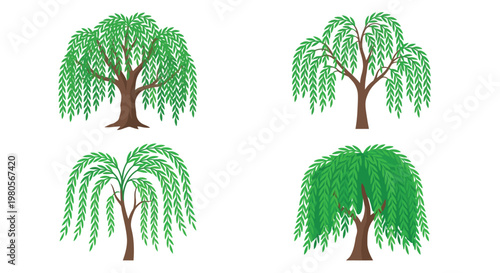 Four illustrations of weeping willow trees on a white background