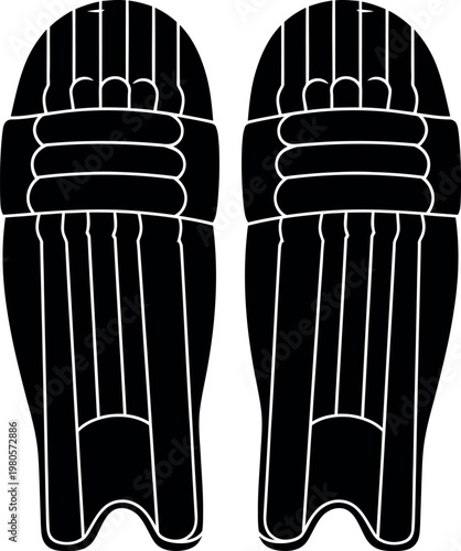 Cricket wicket keeping pads silhouette protective gear for catching and fielding