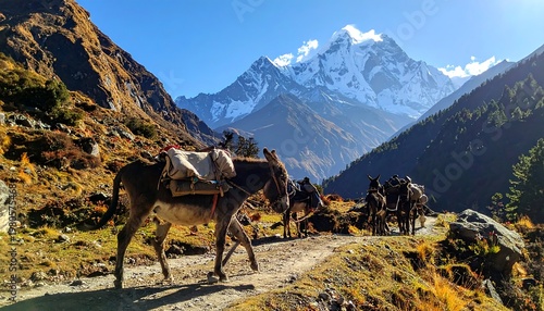 A pack of donkeys traverses a dirt path through a mountain valley, with snow-capped peaks rising in the background under a blue sky