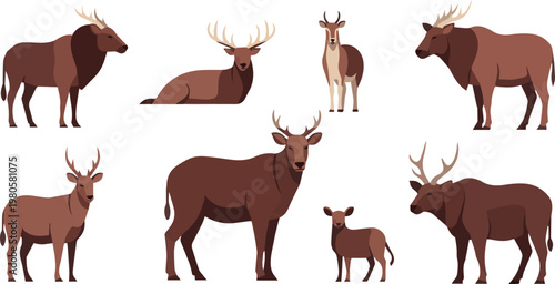 A group of deer and elk are standing and lying in a natural landscape.