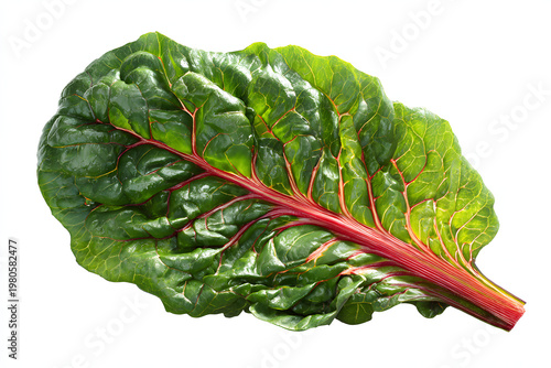 
single Swiss chard isolated on pure white background