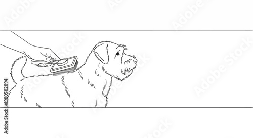 A hand grooming a dog with a brush.