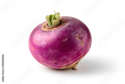 
single Turnip isolated on pure white background