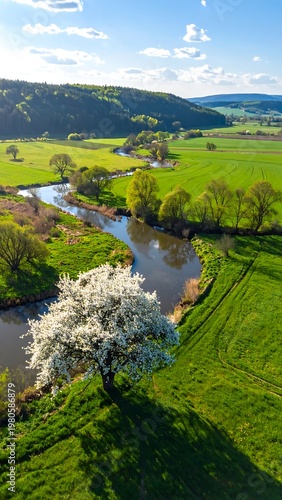Aerial view of a serene landscape with a river, tree, and rolling hills