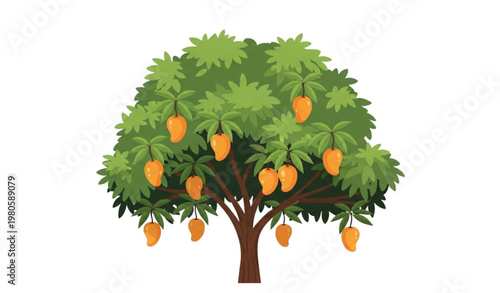 Mango tree vector illustration with fruits flat design isolated on white