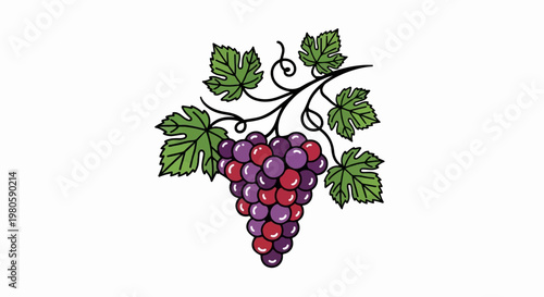 A cluster of plump purple and red grapes hangs from a leafy vine