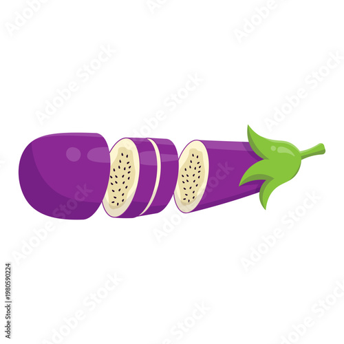 Eggplant Illustration