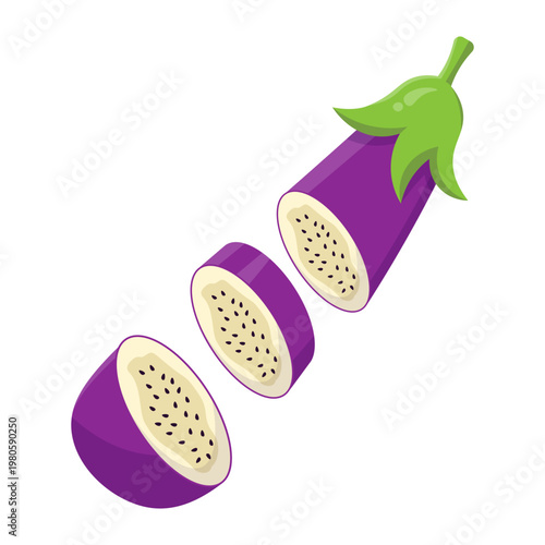 Eggplant Illustration