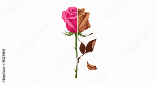 A single rose, half vibrant pink and half withered brown, with falling leaves
