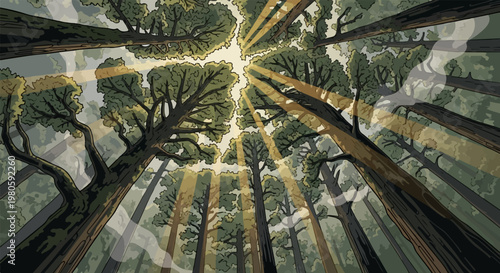 Sunbeams pierce through dense forest canopy, illuminating ancient trees from above
