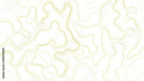White wave paper curved reliefs abstract background, Abstract topographic contours map background Geographic abstract grid. vector illustration.