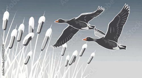 Two geese fly over cattails against a gradient gray sky