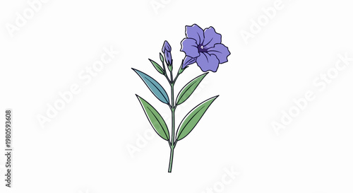 A delicate drawing of a flowering plant with vibrant purple blooms and green leaves