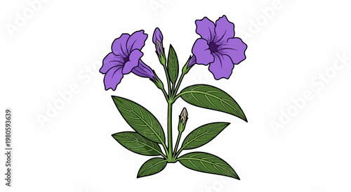 A simplified illustration of a flowering plant with purple blossoms and green leaves