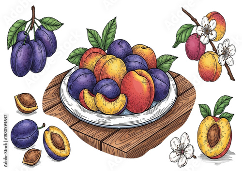 Assortment of fresh ripe plums and peaches on a wooden surface with leaves and blossoms