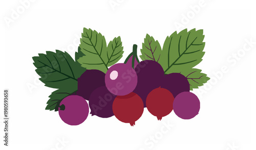 Minimal blackcurrant berries with leaves simple fruit vector illustration isolated on white background