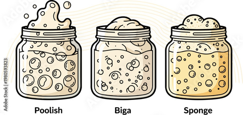 Three glass jars containing bubbly dough mixtures labeled "Poolish", "Biga", and "Sponge