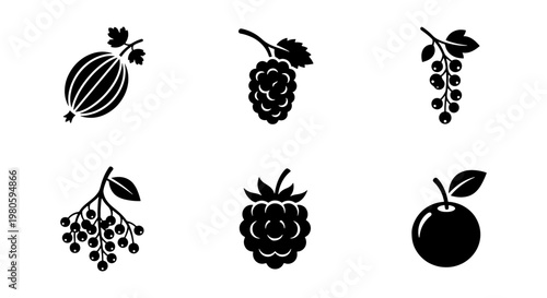 Minimalist berry icons set, black silhouette fruit vector elements, collection of 6 organic garden berries for food packaging and menu design