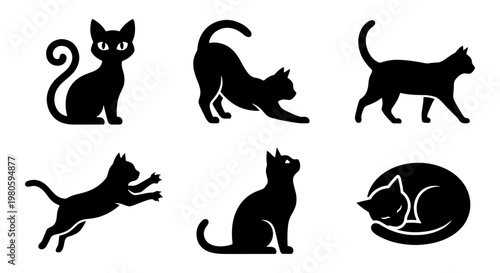 Black cat silhouette icons set, domestic feline animal poses in minimalist vector style, 6 cat elements for pet shop branding and logo design