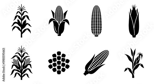 Corn and maize icon set, 8 black silhouette vector elements of corn cobs and stalks, agricultural plant symbols for farming and food industry