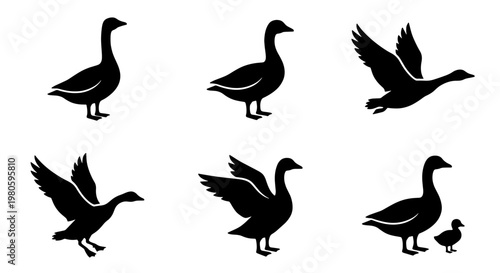 Goose silhouette collection, black waterfowl bird icons in various poses, set of 6 vector elements including flying geese and gosling