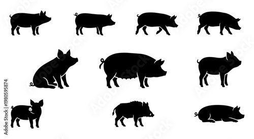 Black pig silhouette collection, set of 10 farm animal vector icons, domestic swine and wild boar shapes for butcher shop branding and agriculture design