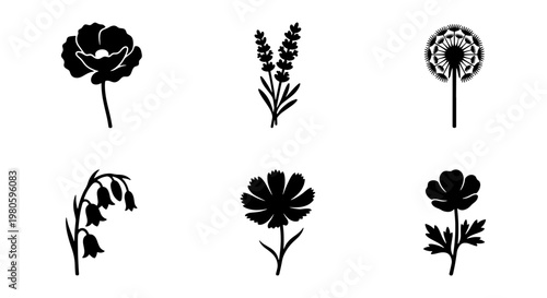 Minimalist floral silhouette icons, set of 6 black botanical flower vectors, elegant poppy lavender and dandelion plant graphics for logo design