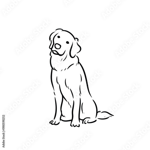 Golden Retriever Sitting Dog with Head Tilt Line Art Vector