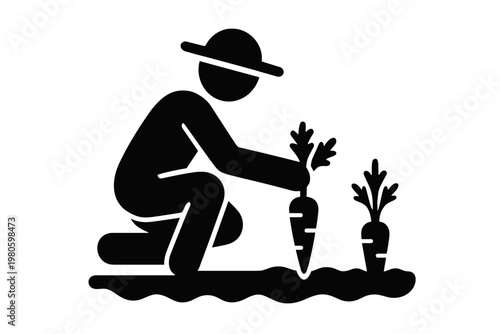 Farmer kneeling and harvesting carrots in a garden bed, agriculture and harvest icon flat vector icon
