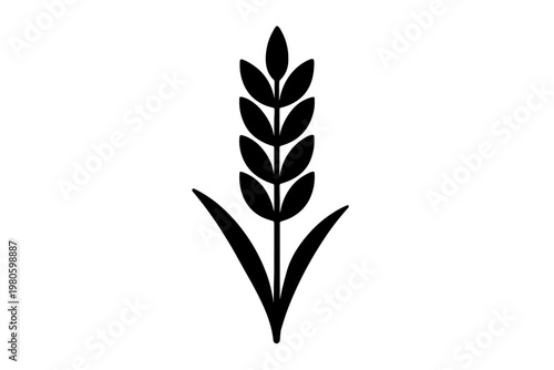 Single wheat stalk and grain ear flat vector icon