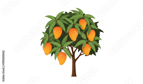 Stylized mango tree vector illustration flat fruit plant design