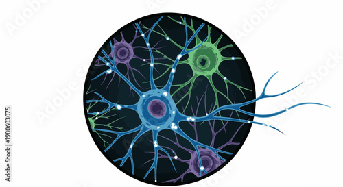 A microscopic view of colorful neurons and their connections in dark