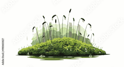 A cluster of green moss with delicate sporophytes bearing water droplets