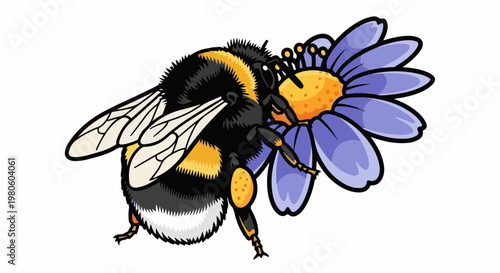 A fuzzy bumblebee collects nectar from a delicate purple flower