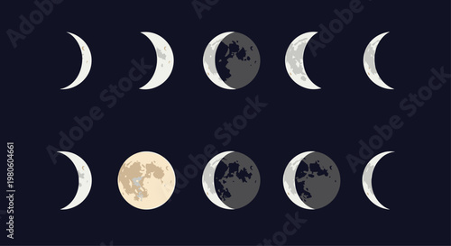 Scientific diagram of various moon phases from crescent to full moon displayed in a grid against a dark night sky background.