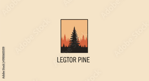 Silhouette of pine trees against a gradient sky within a frame