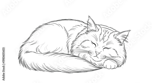 Heartwarming black and white pencil sketch of a fluffy long-haired cat curled up and sleeping peacefully with a gentle smile on its face.