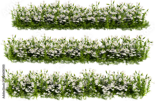 Flowers and shrubs in the garden on a transparent background.