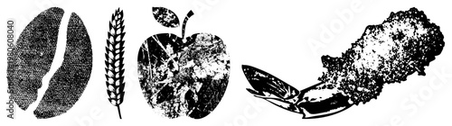 Gridded halftone illustrations of food items coffee bean, wheat stalk,, shrimp. Vector art with textured, isolated foreground elements.