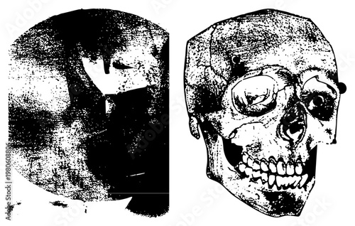 Two stylized human skulls depicted in black and white halftone, anatomical study, forensic reference, skeletal illustration, medical diagram, vintage graphic, scientific art.